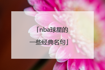 nba球星的一些经典名句