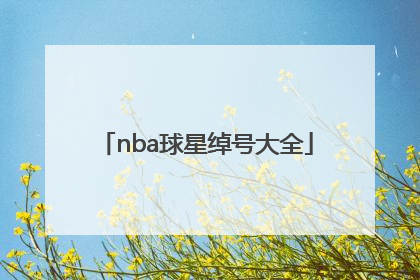 「nba球星绰号大全」nba球星绰号大全及由来