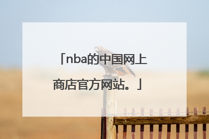 nba的中国网上商店官方网站。