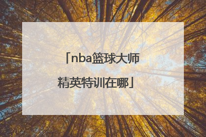 nba篮球大师精英特训在哪