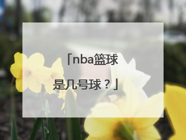 nba篮球是几号球？