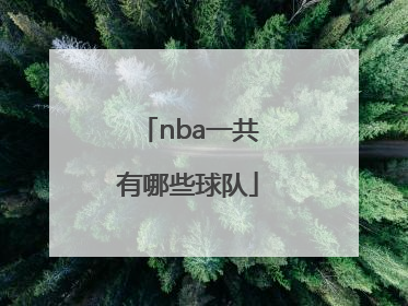 nba一共有哪些球队