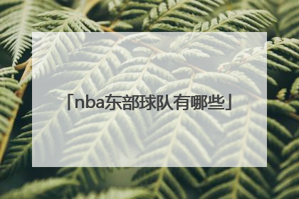 「nba东部球队有哪些」西部球队nba