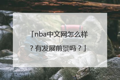 nba中文网怎么样？有发展前景吗？