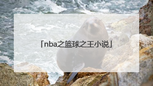 「nba之篮球之王小说」nba篮球之王是谁