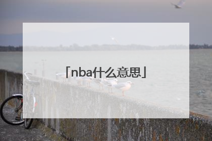 nba什么意思