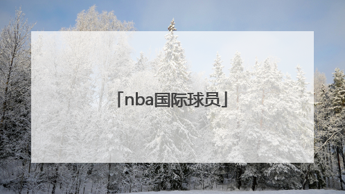 「nba国际球员」nba国际球员控卫