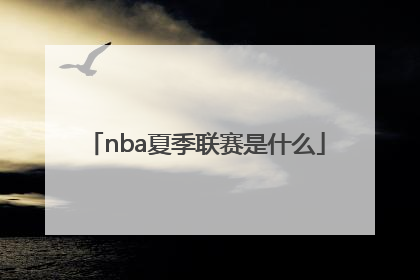 nba夏季联赛是什么