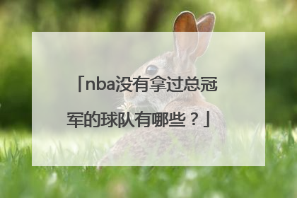 nba没有拿过总冠军的球队有哪些？