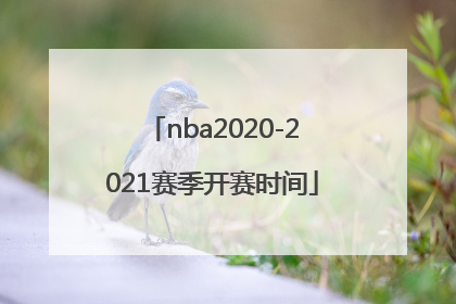 「nba2020-2021赛季开赛时间」nba2020-2021赛季开赛时间湖人