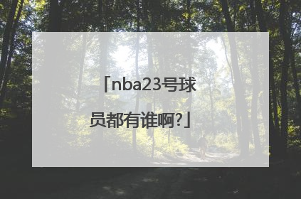 nba23号球员都有谁啊?