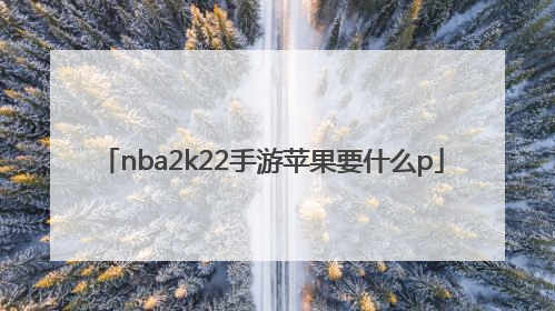 nba2k22手游苹果要什么p