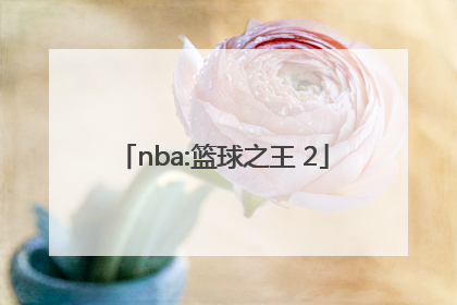 「nba:篮球之王 2」nba之篮球之王TXT下载