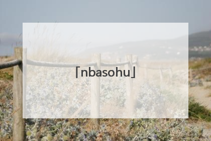 「nbasohu」nba 搜狐体育