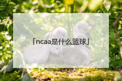 「ncaa是什么篮球」ncaa篮球名校