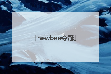 「newbee夺冠」newbee夺冠ti