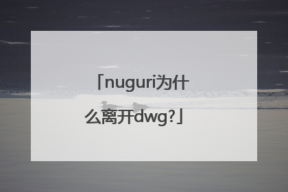 nuguri为什么离开dwg?