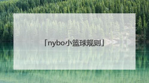 「nybo小篮球规则」篮球比赛规则