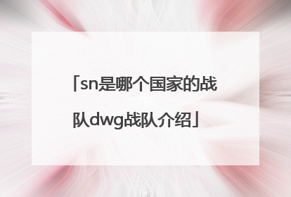 sn是哪个国家的战队dwg战队介绍