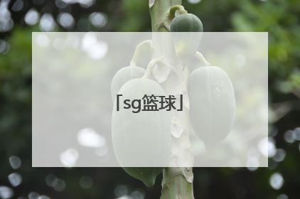 「sg篮球」sg篮球厂牌