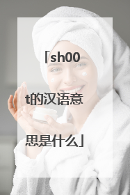 sh00t的汉语意思是什么