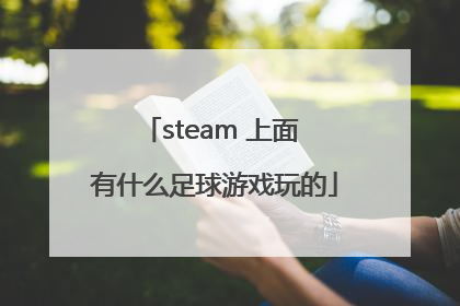 steam 上面 有什么足球游戏玩的