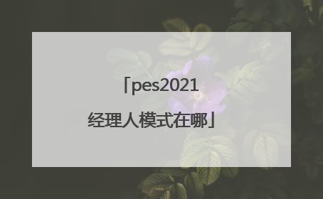 pes2021经理人模式在哪