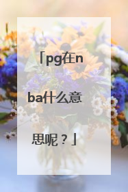 pg在nba什么意思呢？