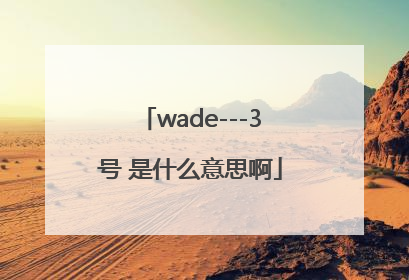 wade---3号 是什么意思啊