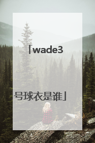 「wade3号球衣是谁」wade3号球衣多少钱