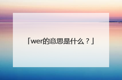 wer的意思是什么？