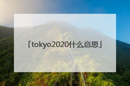 tokyo2020什么意思