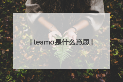 teamo是什么意思