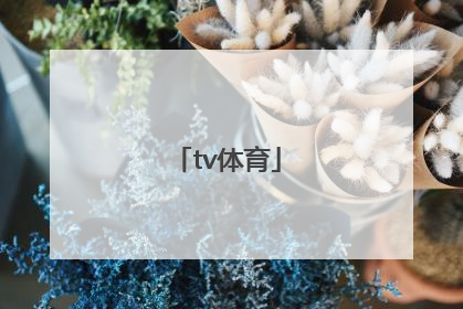 「tv体育」奇异果tv体育