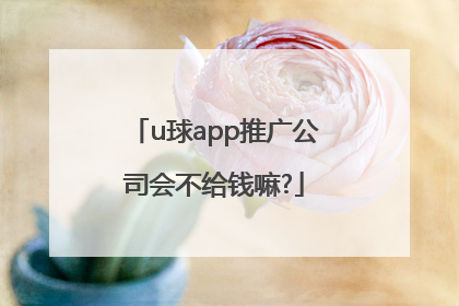 u球app推广公司会不给钱嘛?