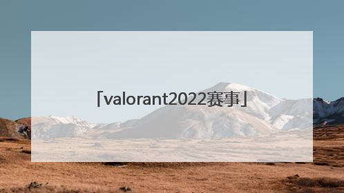 「valorant2022赛事」valorant2022夜市什么时候开